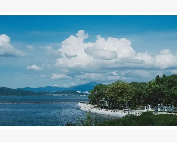 B2B创业失败教训从惨痛经历看行业陷阱